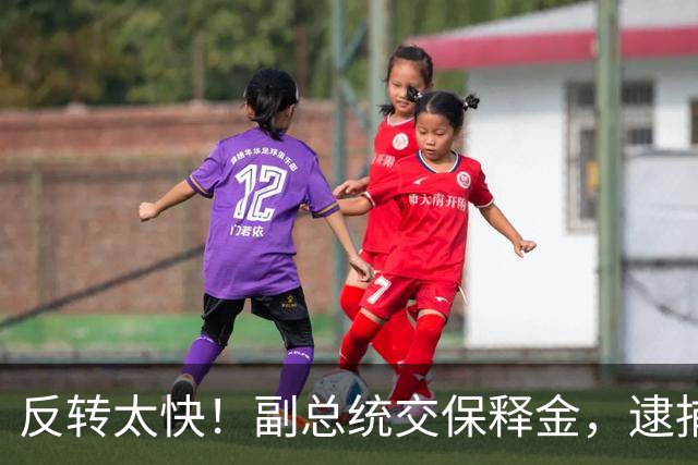 反转太快！副总统交保释金，逮捕令撤销，菲律宾政坛大戏还没落幕