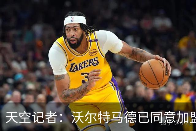 天空记者：沃尔特马德已同意加盟尤文，周二接受体检