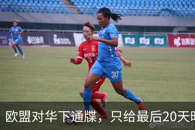 欧盟对华下通牒，只给最后20天时间，再不答应，布鲁塞尔就将动手