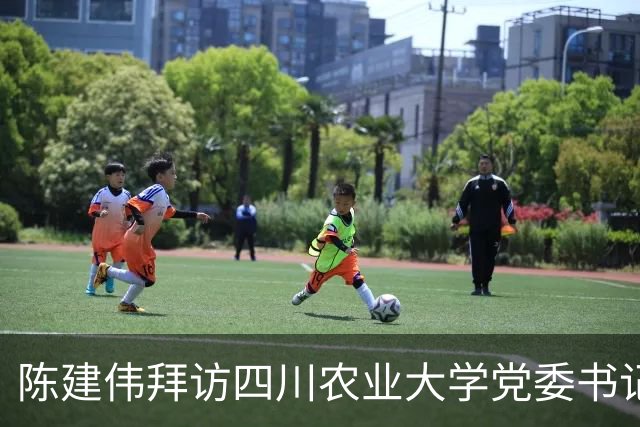 陈建伟拜访四川农业大学党委书记刘登才